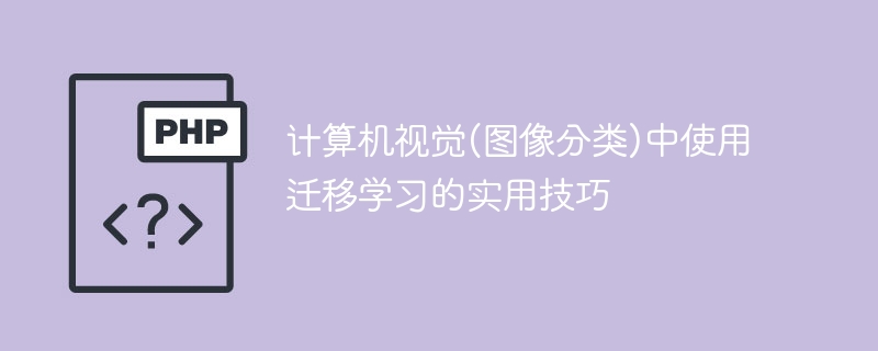 图像分类中使用迁移学习的实用技巧