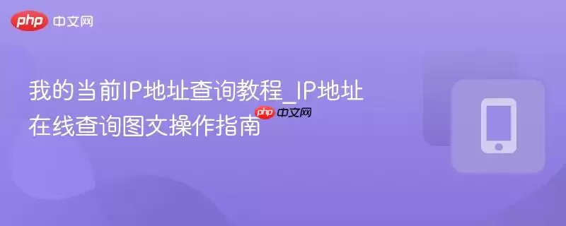 我的当前IP地址查询教程_IP地址在线查询图文操作指南