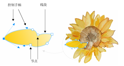 CorelDRAW曲线对象使用