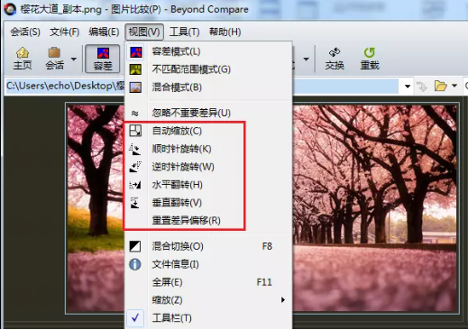 Beyond Compare图片比较优点一览