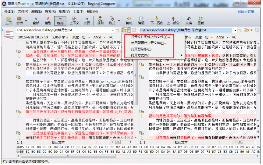 快速了解Beyond Compare文本比较的操作方法