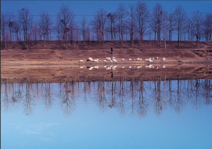 CorelDRAW基础知识之位图与矢量图的操作技巧