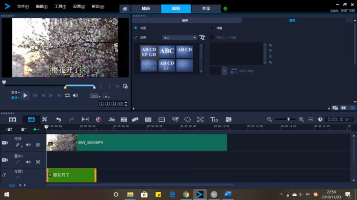 图4：修改字幕样式和属性