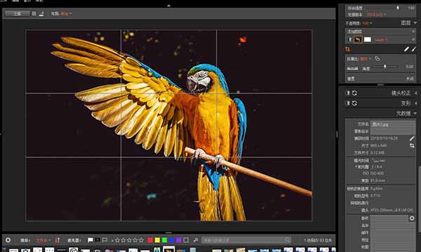 Exposure X4 Exposure X4