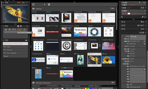 Exposure X4 Exposure X4