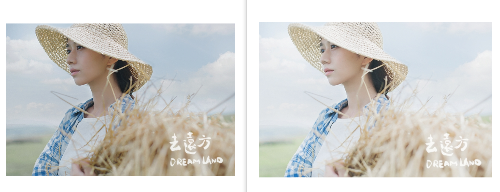 Exposure X4 Exposure图片调色