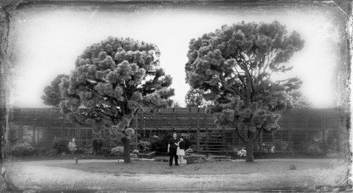 Exposure X4调整边框透明度的操作方法