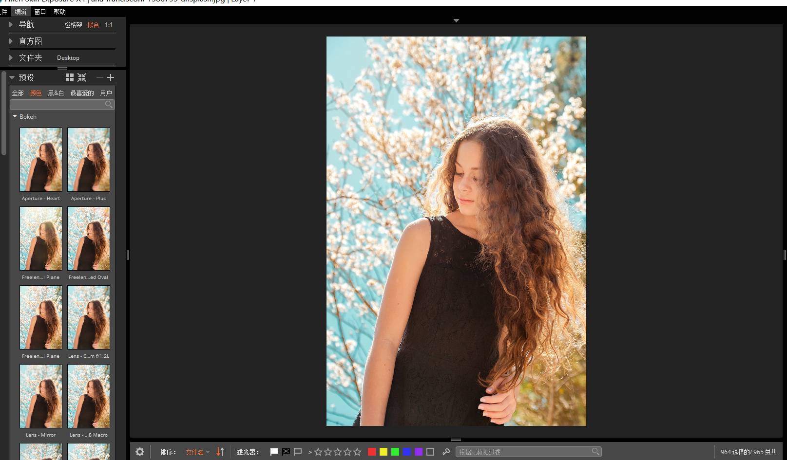 修图软件Exposure X4 