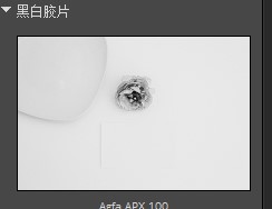 Alien Skin Exposure黑白预设类别一览