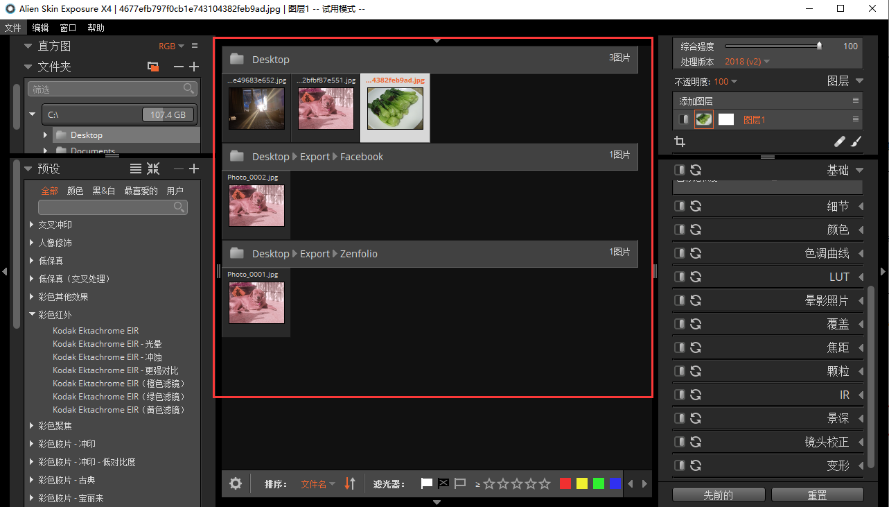 图片2：Alien Skin Exposure的界面