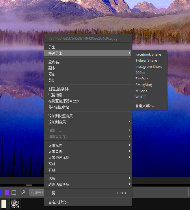 图片5：Alien skin exposure的快速导出功能