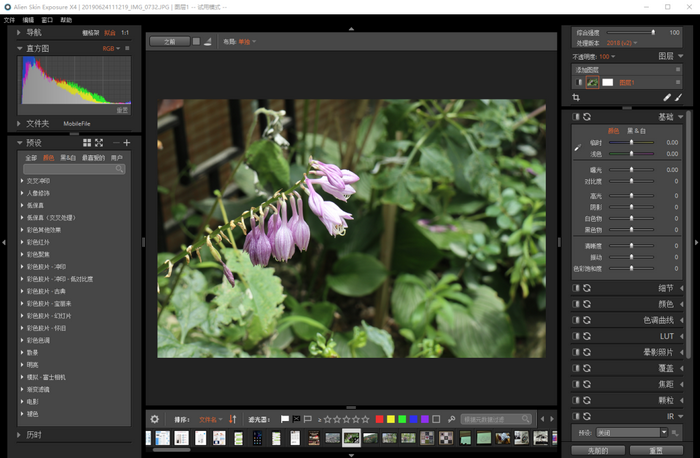 Alien Skin Exposure X4笔刷功能详解