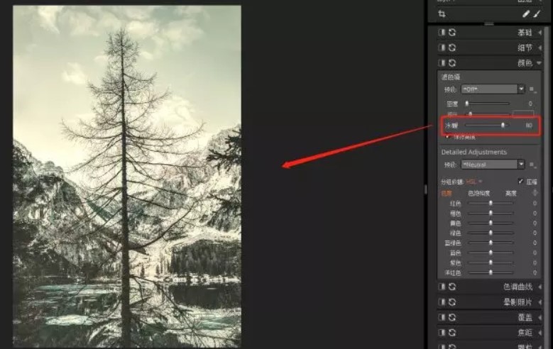 RAW后期处理软件