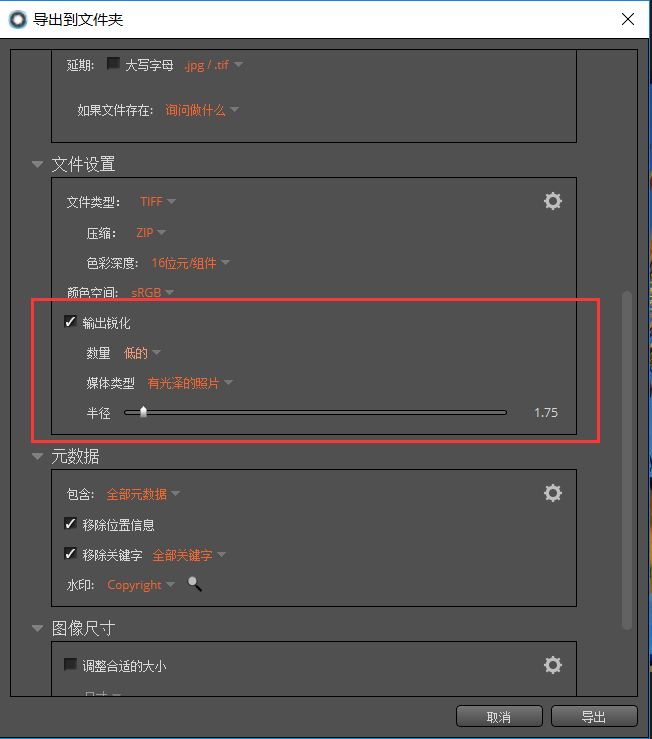 Alien Skin Exposure文件导出功能详解