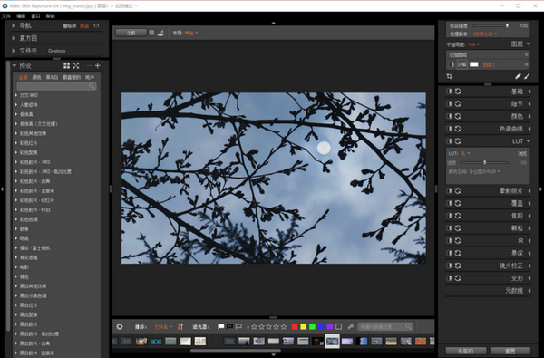 运用好Alien Skin Exposure X4的超500款预设的方法