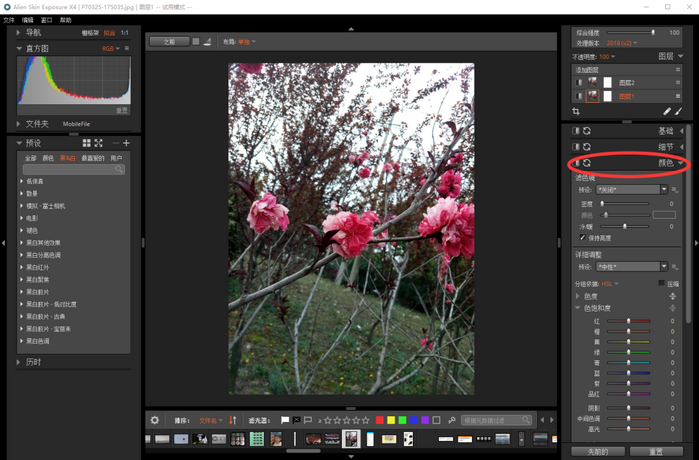 Alien Skin Exposure X4使照片只突出一种颜色的方法