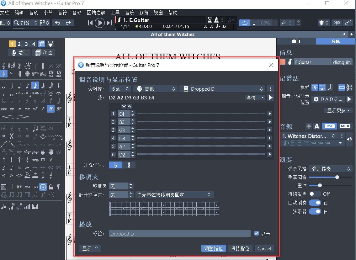 Guitar Pro调音与显示设置界面