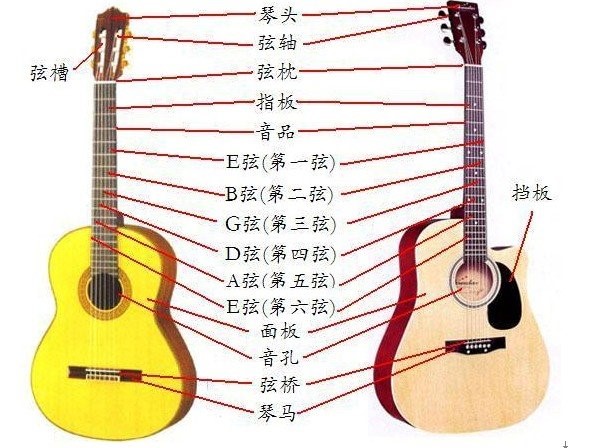 吉他结构 吉他结构
