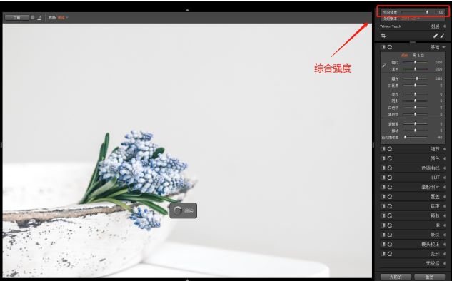 RAW后期处理软件