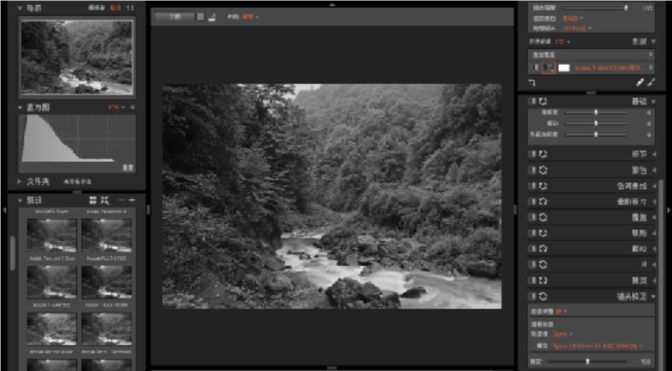 RAW后期处理软件