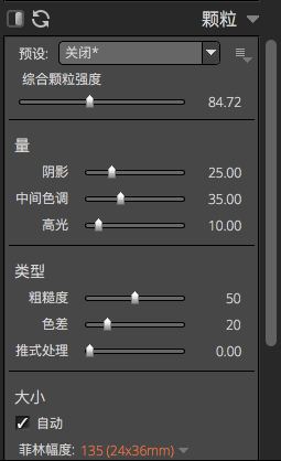 图4 ：Alien Skin Exposure软件颗粒设置界面