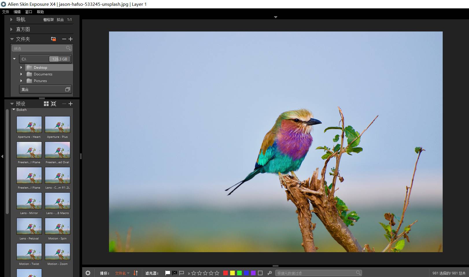 Exposure X4鸟类拍摄的前期技巧学习