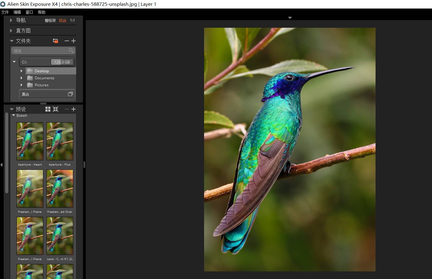 Exposure X4 修图软件Exposure X4