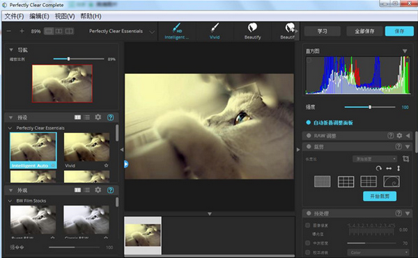 perfectly clear 界面