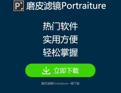 portraiture官网界面