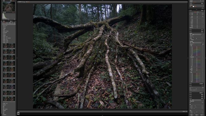 Alien Skin Exposure拯救手机风光照的小技巧