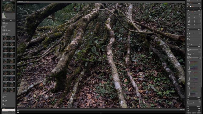 RAW后期处理软件