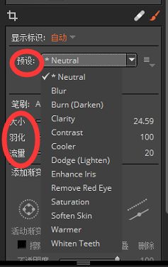 exposure调整笔刷