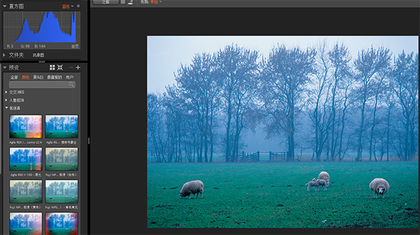 图三：直方图反映的图片