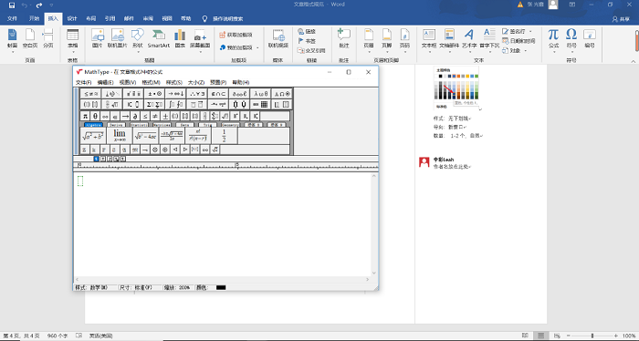 在word中的MathType