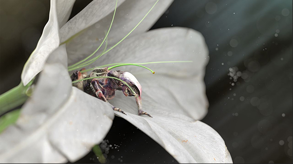 KeyShot中创建简单微妙的散景或斑点效果的方法