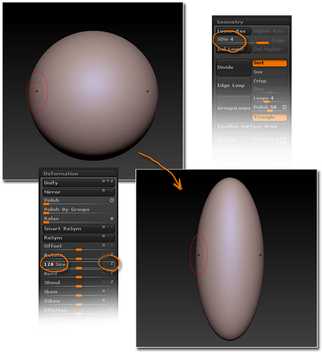 身体部分