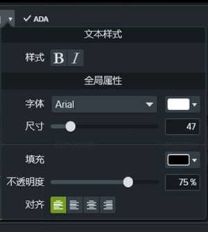 图4:设置文本样式
