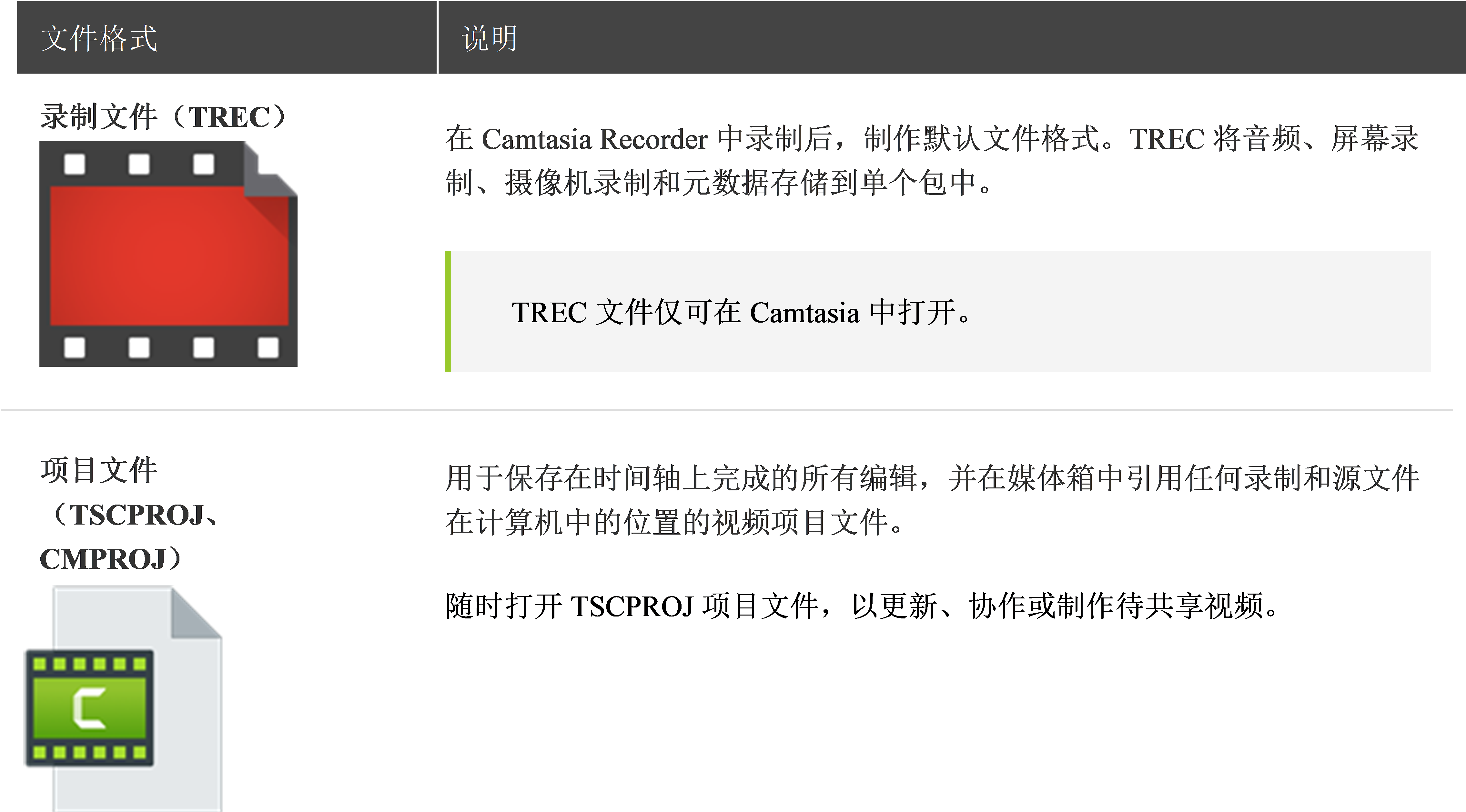 图1：Camtasia文件的类型