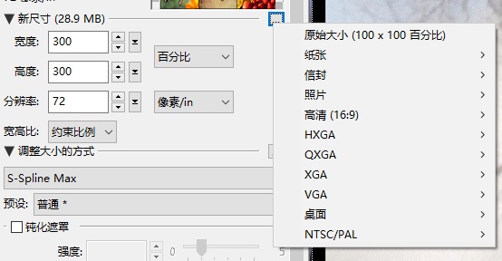 PhotoZoom画布预设 PhotoZoom画布预设