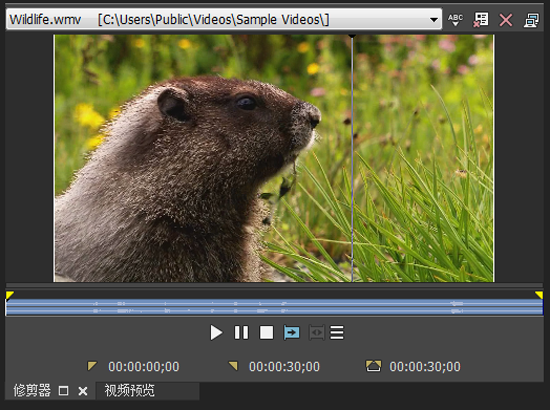 VEGAS修剪器窗口
