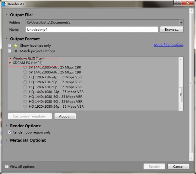 XDCAM MP4 格式