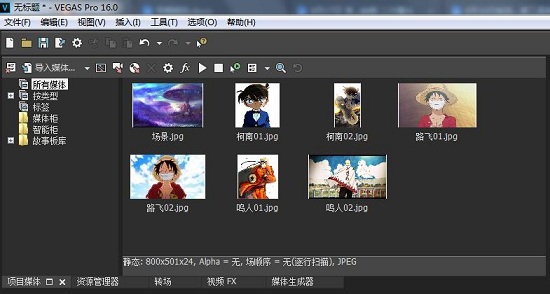Vegas导入素材