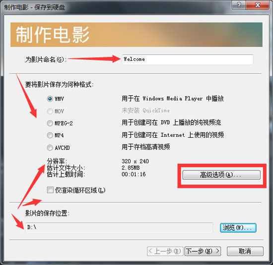简单的视频格式设置