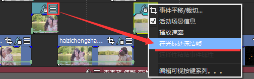 Vegas冻结帧功能