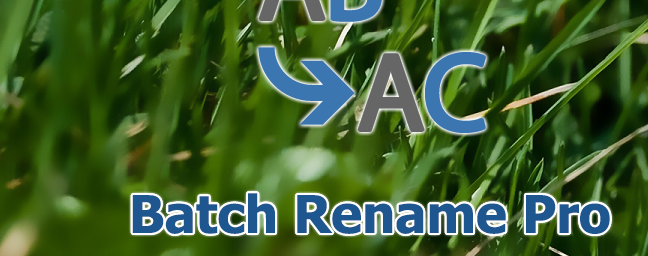Bactch Rename Pro批量重命名文件的使用技巧