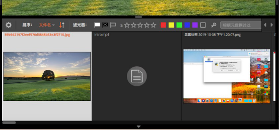 Alien Skin Exposure X5 胶片滤镜模拟软件使用介绍