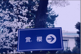 如何使用exposure x5软件的细节调色功能？