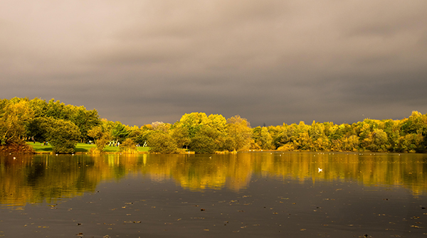学习Python数据可视化：实例探索