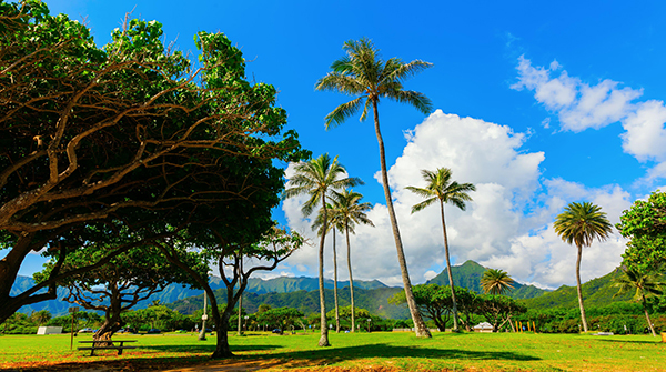 Python PyQt5图形界面开发指南