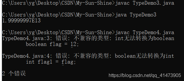 Java类型自动转换机制的示例及其分析
